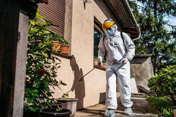 Best Best Pest Control Companies  in Hurlock, MD