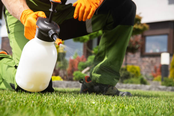 Best Residential Pest Control  in Hurlock, MD
