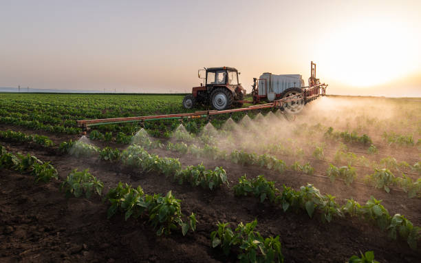 Best Pest Control Treatment  in Hurlock, MD
