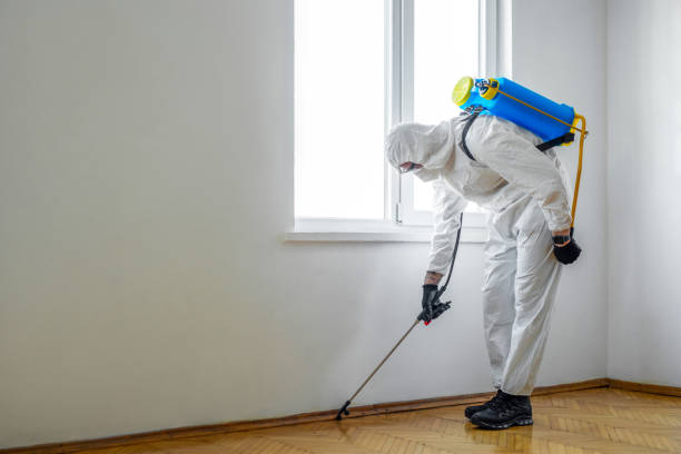 Best Commercial Pest Control Services  in Hurlock, MD