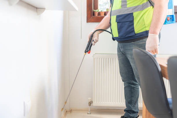 Best Flea Control Services  in Hurlock, MD