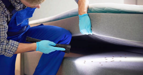 Best Wasp Removal Services  in Hurlock, MD