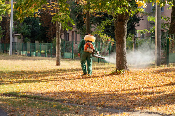 Best Pest Control Near Me in Hurlock, MD