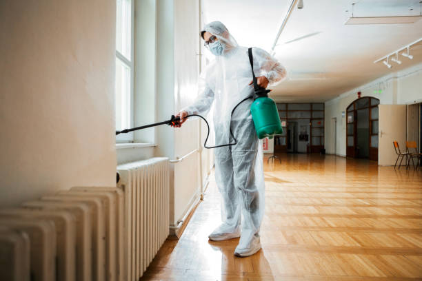 Best Affordable Exterminators  in Hurlock, MD