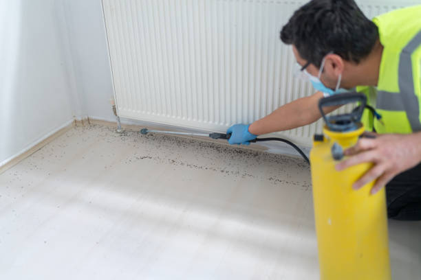 Best Exterminator Services  in Hurlock, MD