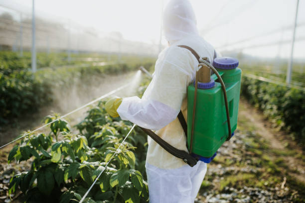 Best Rat Extermination Near Me  in Hurlock, MD